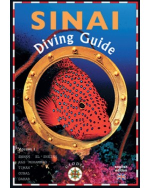 Sinai diving guide 