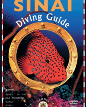 Sinai diving guide 