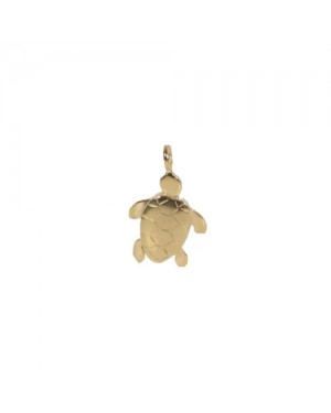 Little Turtle 150g