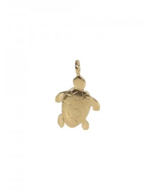 Little Turtle 150g