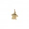 Little Turtle 150g
