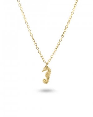 Seahorse Caval 157g