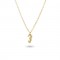 Seahorse Caval 157g