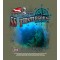 Thistlegorm Beyond Green