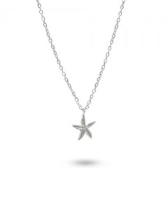 Starfish 154