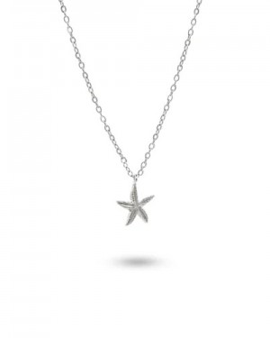 Starfish 154