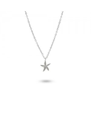 Starfish 154
