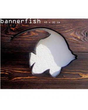 Banner Fish