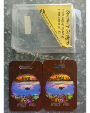 2piece luggage tag set