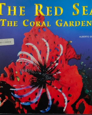 coral garden 